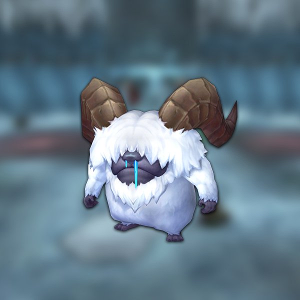 Poro pet