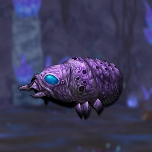 Underground larva