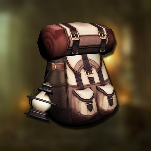 Traveler's backpack