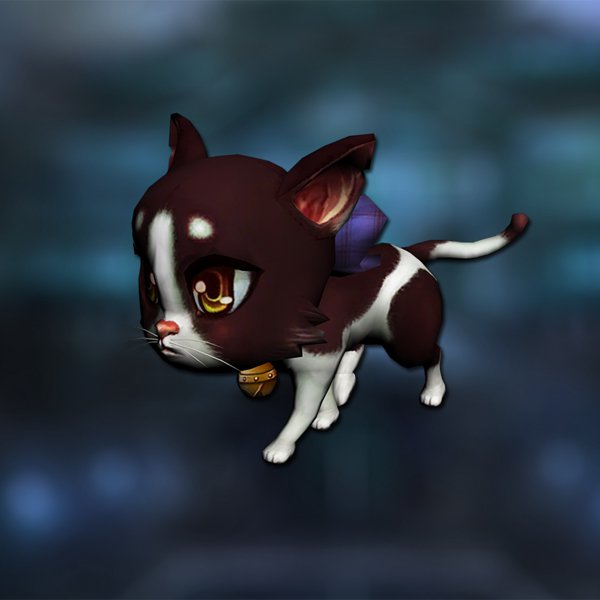 Cute cat