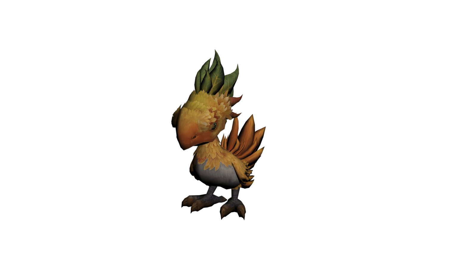 Cock pet 1