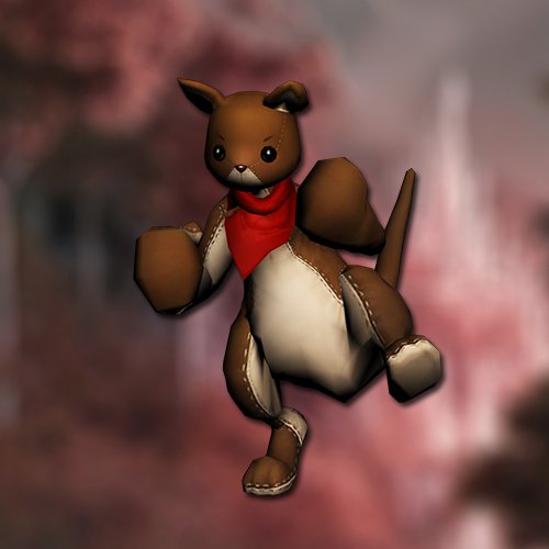Little kangaroo pet