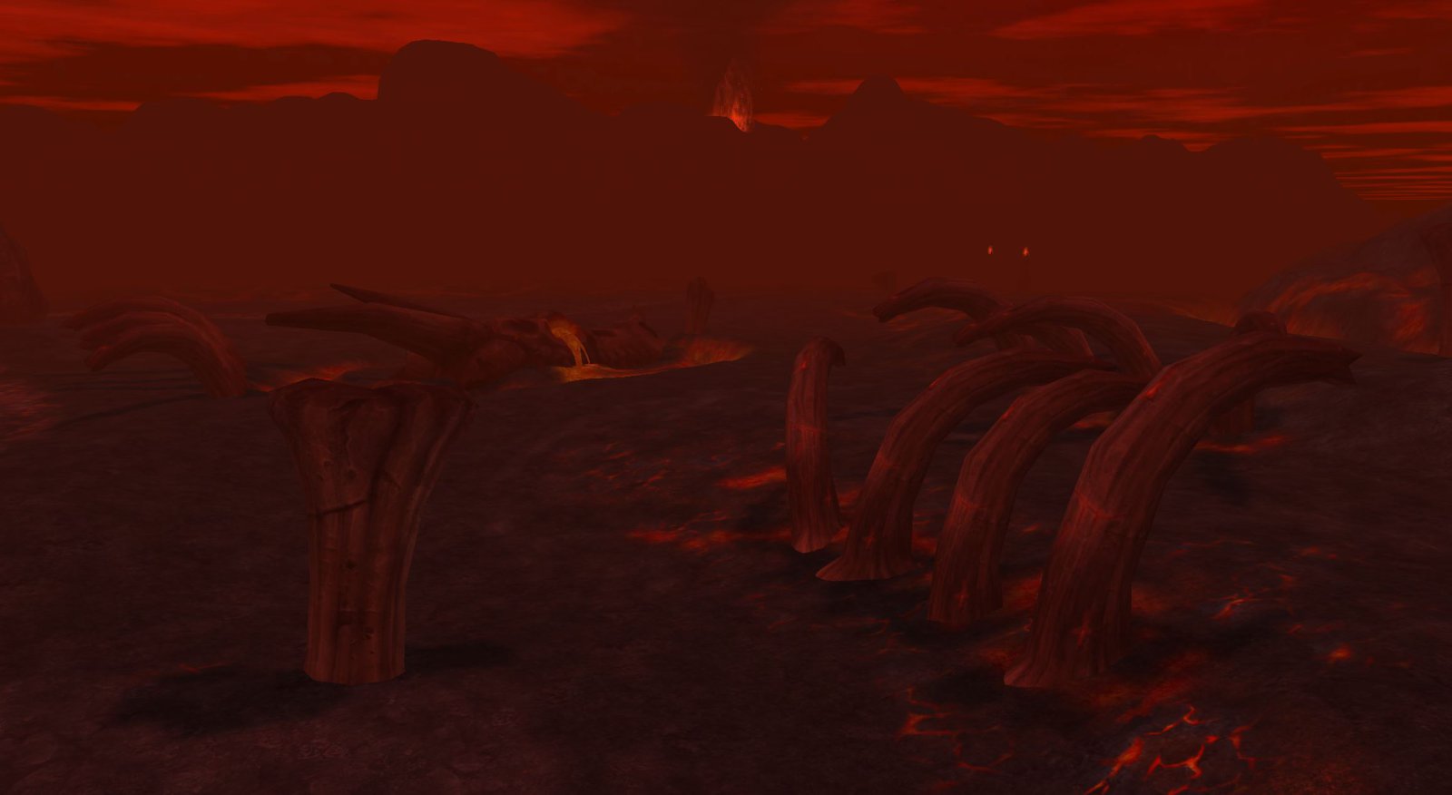 Lava fields 14