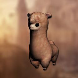 Alpaca pet 1
