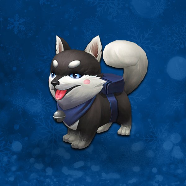 Little husky pet